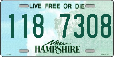 NH license plate 1187308