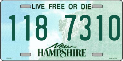 NH license plate 1187310