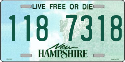 NH license plate 1187318