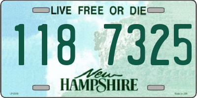NH license plate 1187325
