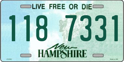 NH license plate 1187331