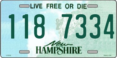 NH license plate 1187334