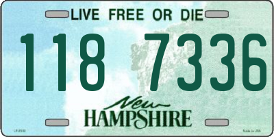 NH license plate 1187336