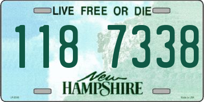 NH license plate 1187338