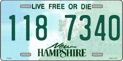 NH license plate 1187340