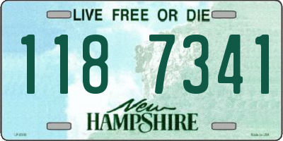 NH license plate 1187341