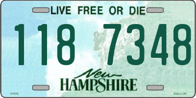 NH license plate 1187348