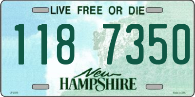 NH license plate 1187350