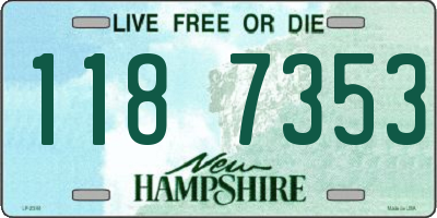 NH license plate 1187353