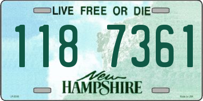NH license plate 1187361