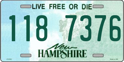 NH license plate 1187376
