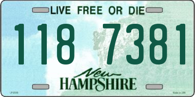 NH license plate 1187381