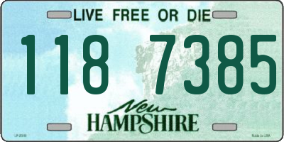 NH license plate 1187385