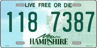 NH license plate 1187387