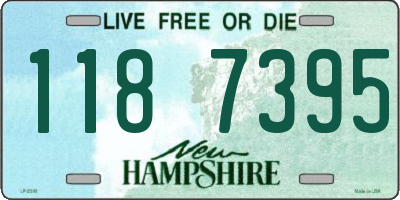 NH license plate 1187395