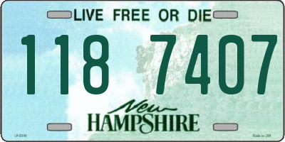 NH license plate 1187407