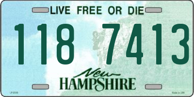 NH license plate 1187413