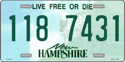 NH license plate 1187431
