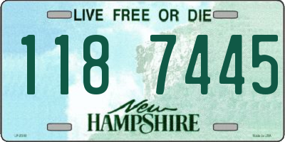 NH license plate 1187445