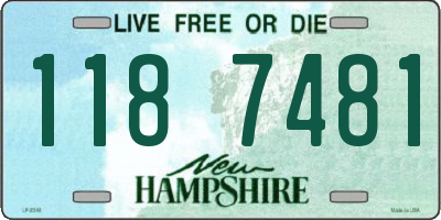 NH license plate 1187481