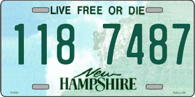 NH license plate 1187487