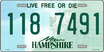 NH license plate 1187491