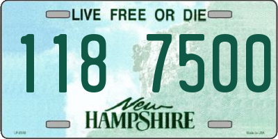 NH license plate 1187500