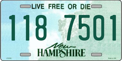 NH license plate 1187501