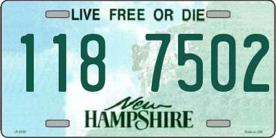 NH license plate 1187502