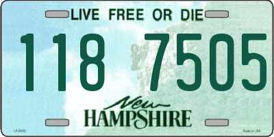 NH license plate 1187505