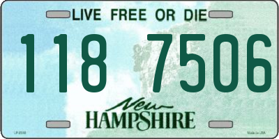 NH license plate 1187506
