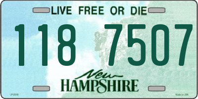 NH license plate 1187507