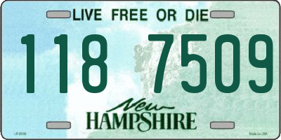NH license plate 1187509