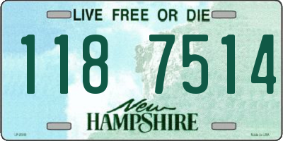 NH license plate 1187514
