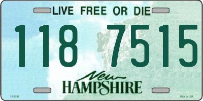 NH license plate 1187515