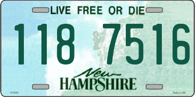 NH license plate 1187516