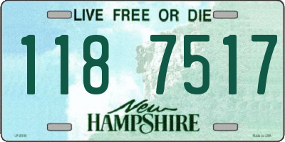 NH license plate 1187517