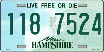NH license plate 1187524