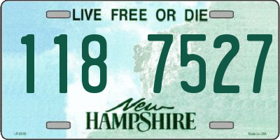 NH license plate 1187527