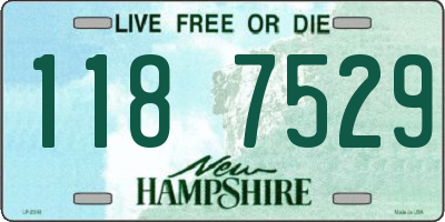 NH license plate 1187529