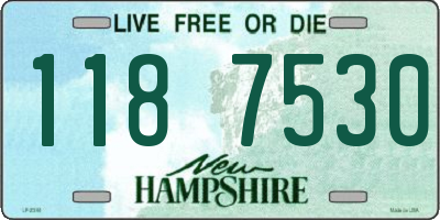 NH license plate 1187530