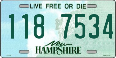 NH license plate 1187534