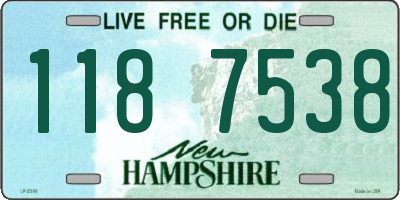 NH license plate 1187538