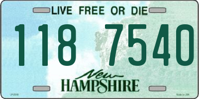 NH license plate 1187540