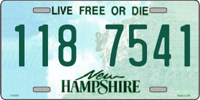 NH license plate 1187541