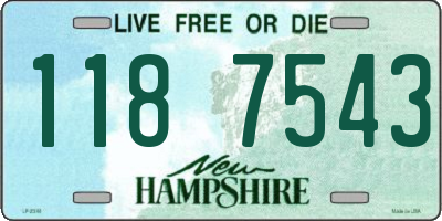 NH license plate 1187543