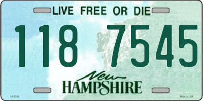 NH license plate 1187545