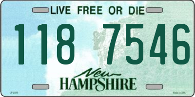 NH license plate 1187546