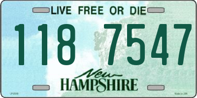 NH license plate 1187547