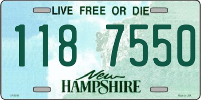 NH license plate 1187550
